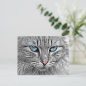 猫 ポストカード (スタンド正面)