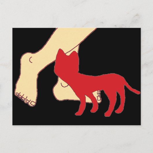 猫 ポストカード (正面)