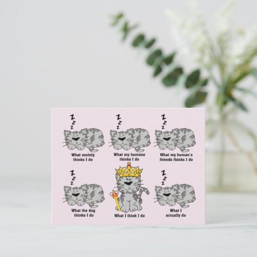 猫 ポストカード (スタンド正面)