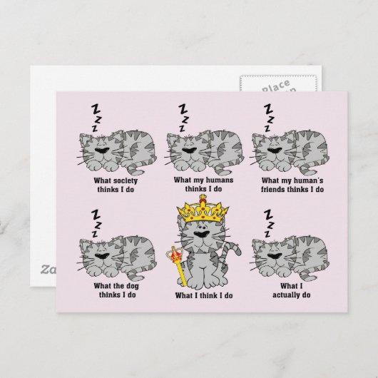 猫 ポストカード (正面/裏面)