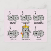 猫 ポストカード (正面)