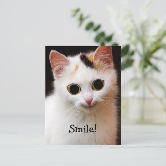 猫 ポストカード (スタンド正面)