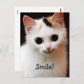 猫 ポストカード (正面/裏面)