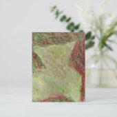 猫 ポストカード (スタンド正面)