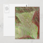 猫 ポストカード (正面/裏面)