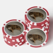 猫 ポーカーチップ (積み重ね)