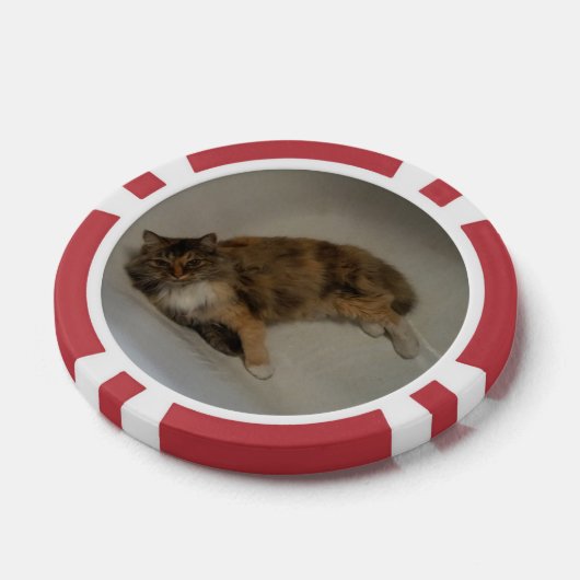 猫 ポーカーチップ (シングル)