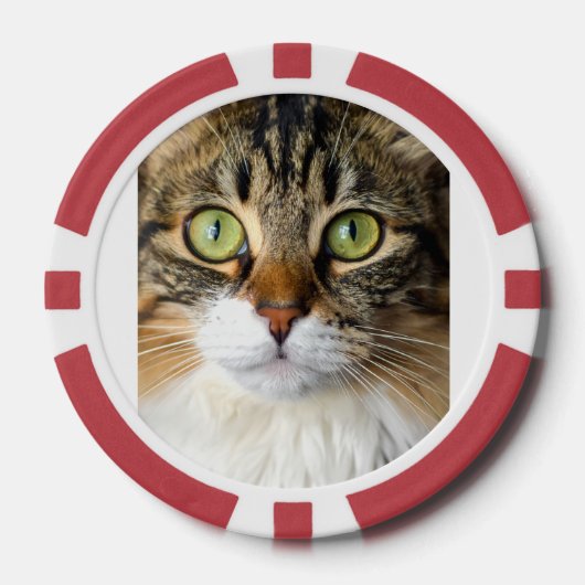 猫 ポーカーチップ (正面)
