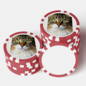 猫 ポーカーチップ (積み重ね)