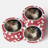 猫 ポーカーチップ (積み重ね)