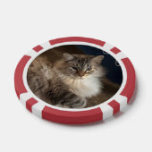 猫 ポーカーチップ (シングル)