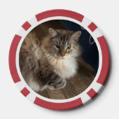 猫 ポーカーチップ (裏面)