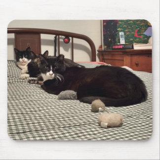 猫 マウスパッド