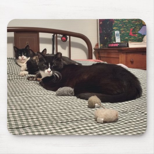 猫 マウスパッド (正面)