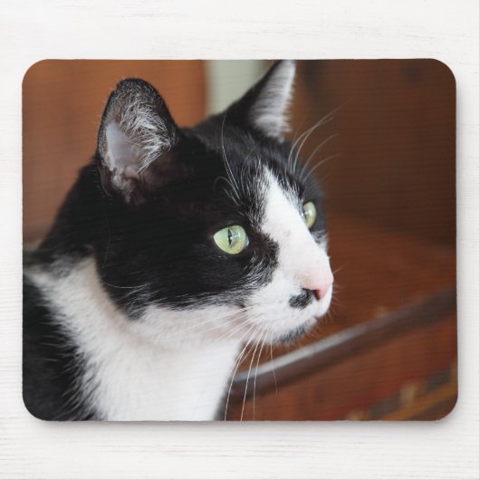 猫 マウスパッド (正面)