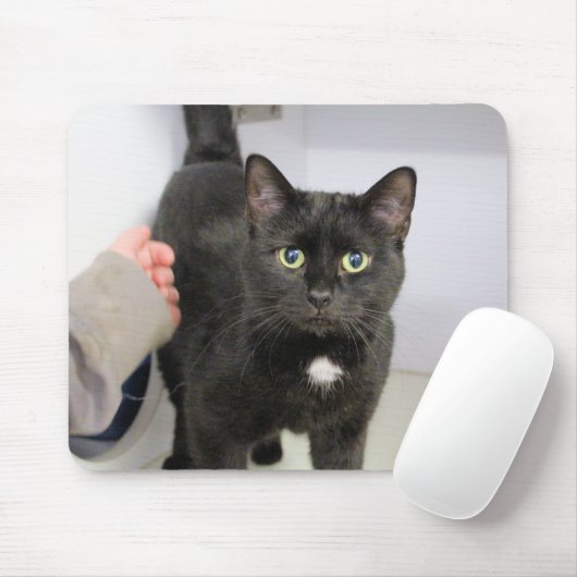 猫 マウスパッド (マウス)