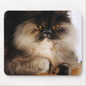 猫 マウスパッド (正面)