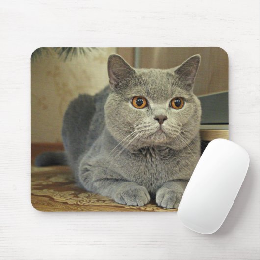 猫 マウスパッド (マウス)