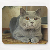 猫 マウスパッド (正面)