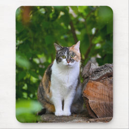 猫 マウスパッド
