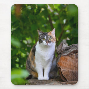 猫 マウスパッド