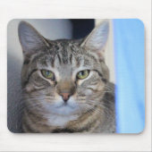 猫 マウスパッド (正面)