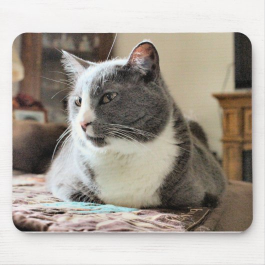 猫 マウスパッド (正面)