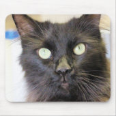 猫 マウスパッド (正面)