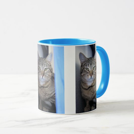 猫 マグカップ (正面右)