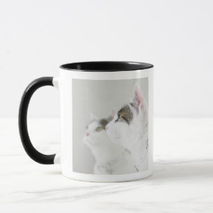 猫 マグカップ
