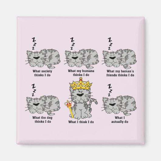 猫 マグネット (正面)