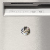 猫 マグネット (インサイチュ (食洗機))