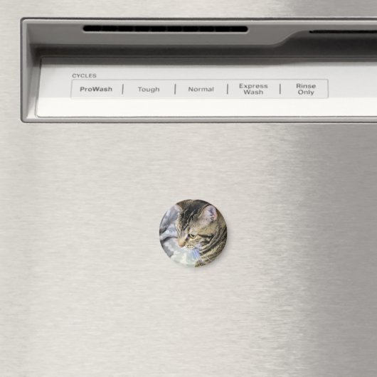 猫 マグネット (インサイチュ (食洗機))