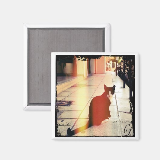 猫 マグネット (正面/裏面)