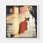 猫 マグネット (正面)