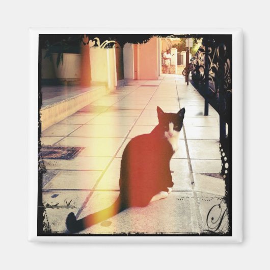 猫 マグネット (正面)