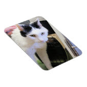 猫 マグネット (右側)