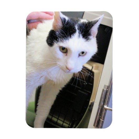猫 マグネット (縦)
