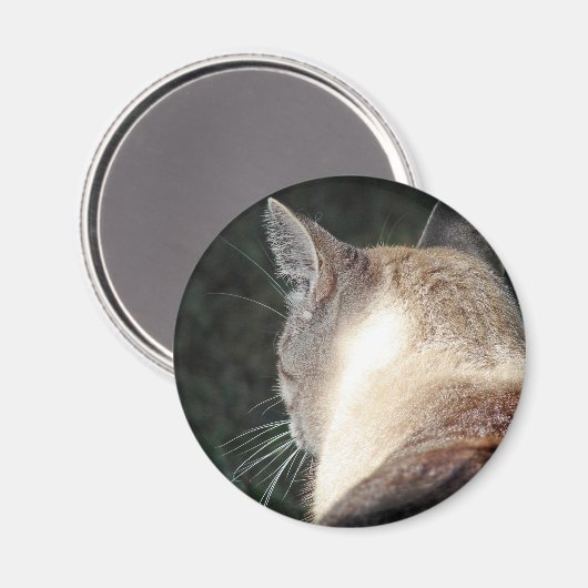 猫 マグネット (正面/裏面)