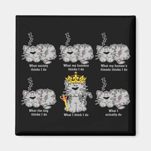 猫 マグネット (正面)