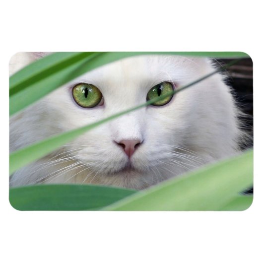 猫 マグネット (横)