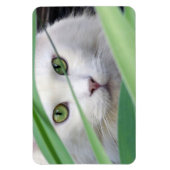 猫 マグネット (縦)