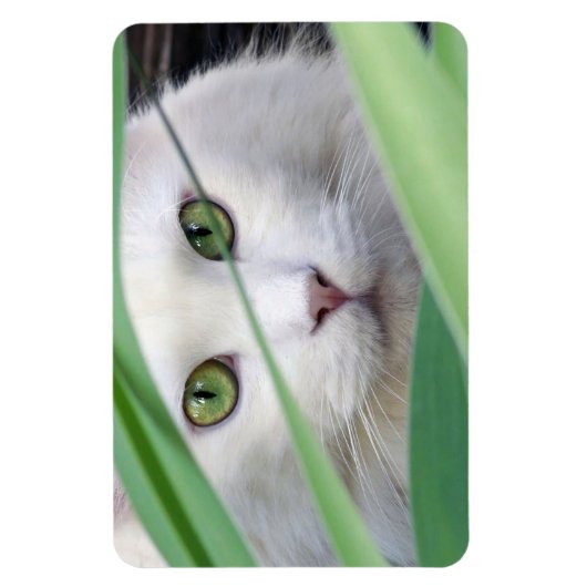 猫 マグネット (縦)