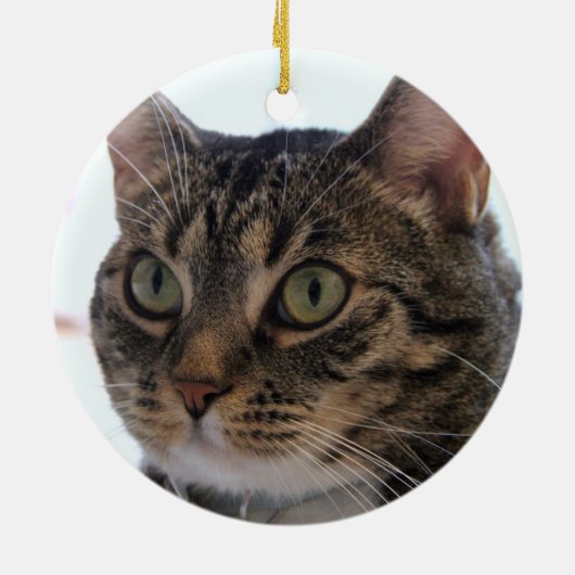 猫「メオウィクリスマス」 2面2写真グリーンプレイド セラミックオーナメント (裏面)