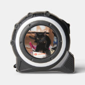 猫 メジャー (正面)