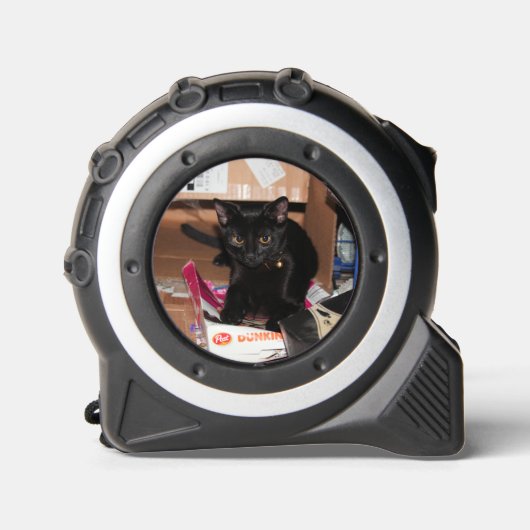 猫 メジャー (正面)