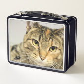 猫 メタルランチボックス (裏面)
