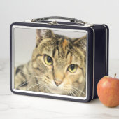 猫 メタルランチボックス (インサイチュ)