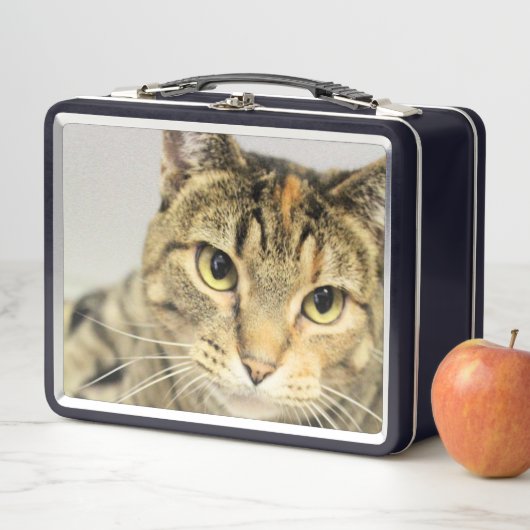 猫 メタルランチボックス (インサイチュ)