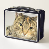 猫 メタルランチボックス (正面)